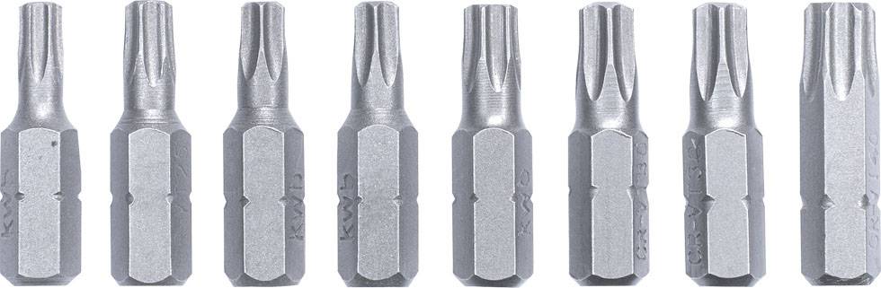 Acht silberne Torx-Bit-Aufsätze in einer Reihe, von T15 bis T40, auf hellem Hintergrund, zum Schrauben in Torx-Schrauben geeignet.