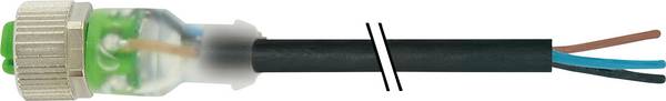 Murrelektronik 7000-12261-6131000 Sensor-/Aktor-Steckverbinder, unkonfektioniert M12 x 1 Buchse, gerade 10.00 m Polzahl Sensoren: 3 1 St.