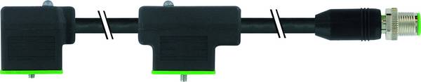 Doppelventilstecker mit Anschlussleitung Schwarz   7000-41611-6370060 Murrelektronik Inhalt: 1 St.