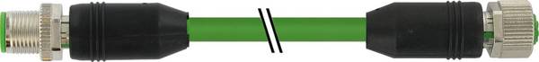 Murrelektronik 7000-44571-7960500 Sensor-/Aktor-Steckverbinder, konfektioniert M12 x 1 Stecker, gerade, Buchse, gerade 5.00 m Polzahl Sensoren: 4 1 St.