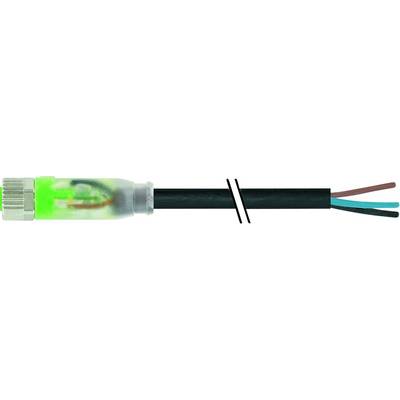 Ein aufgeschnittener Netzwerkkabel zeigt die inneren farbigen Drähte: Braun, Blau und Grün.