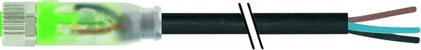 Murrelektronik 7000-08111-6300500 Sensor-/Aktor-Steckverbinder, unkonfektioniert M8 x 1 Buchse, gerade 5.00 m Polzahl Sensoren: 3 1 St.