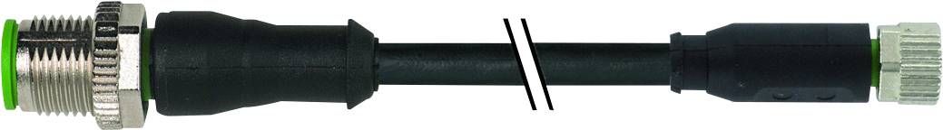 Murrelektronik 7000-40581-6310250 Sensor-/Aktor-Steckverbinder, konfektioniert M12 x 1 Stecker, gerade, Buchse, gerade 2