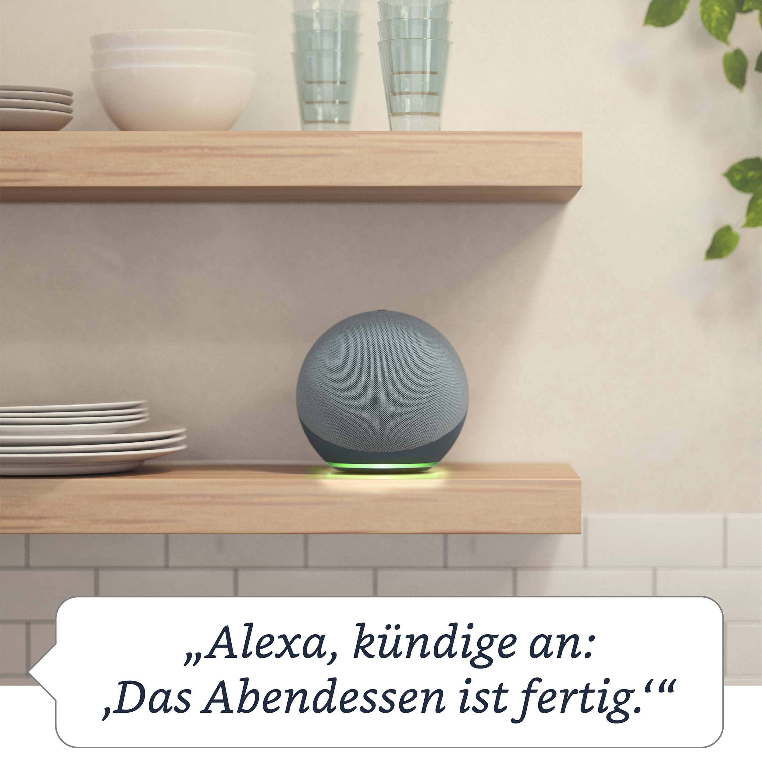 Tuya Smart Home über Amazon Alexa