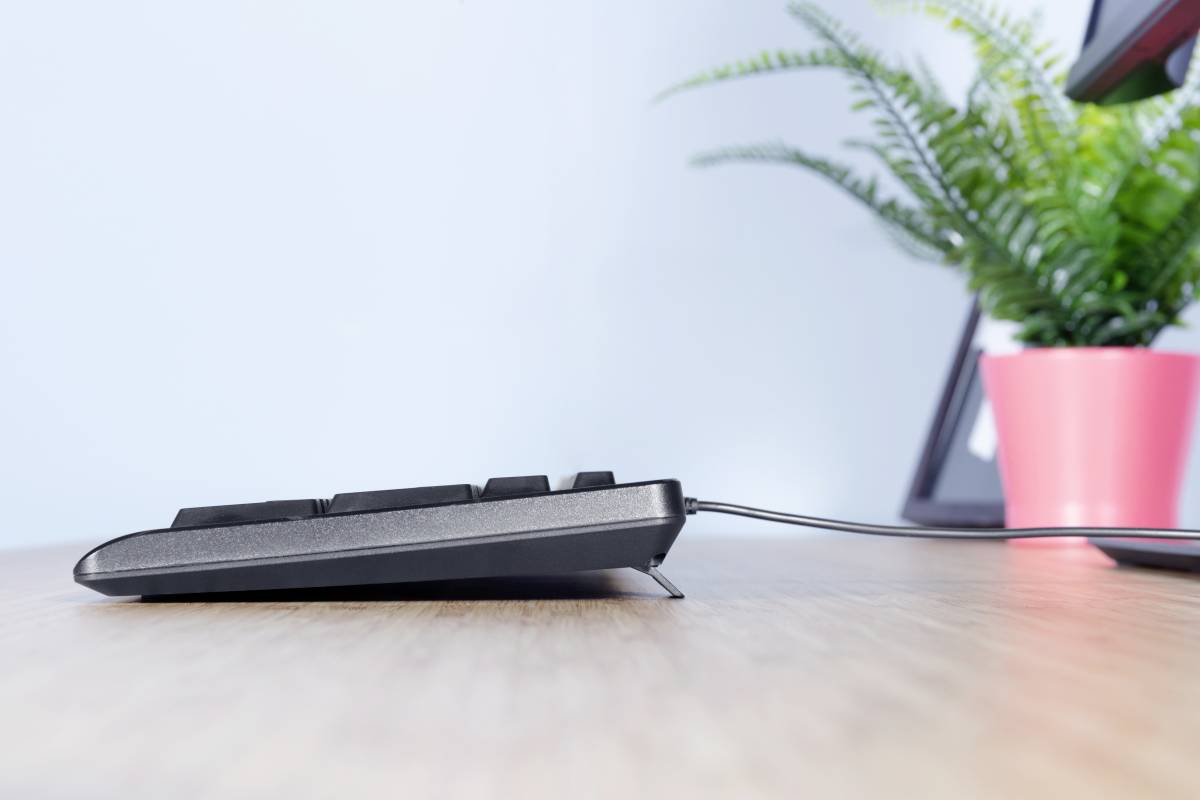 Eine schwarze Computertastatur in Seitenansicht liegt auf einem Holztisch. Im Hintergrund steht ein grüner Farn in einem roten Topf.