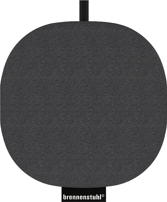 Ein schwarzes Ladegerät mit Kabel, Markenname 'brennenstuhl' unten sichtbar.