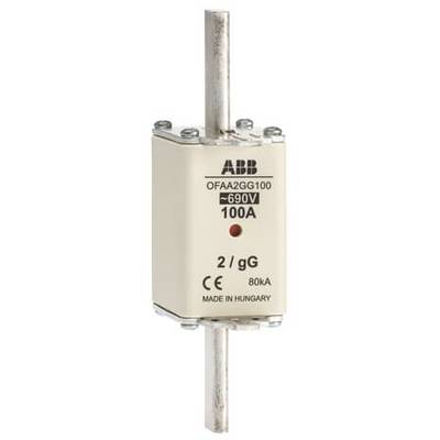Eine industrielle Sicherung mit der Aufschrift 'ABB OFAA2GG100', geeignet für 690V und 100A, hergestellt in Ungarn.
