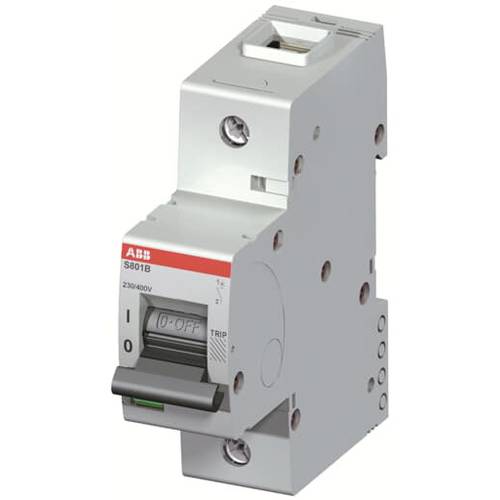 ABB 2CCS811001R0634 S801B-C63 Sicherung 1polig