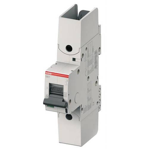 ABB 2CCF019013R0001 S801HV-K40 Sicherung 1polig