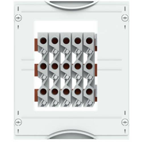 Striebel & John 2CPX041409R9999 Sammelschienen-Modul 1 St.
