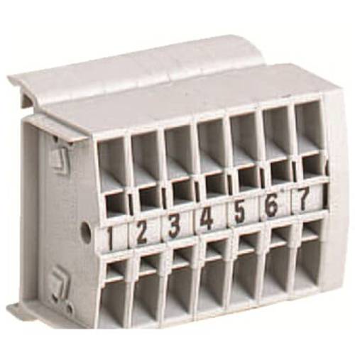 Striebel & John 2CPX060878R9999 Steuerklemme Thermoplast Weiß 16 A 1 St.