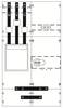 Striebel & John 2CPX033022R9999 KA4046 Wandlerfeld Inhalt 1 St.