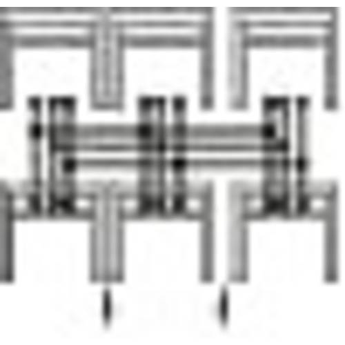 Striebel & John 2CPX060457R9999 Sammelschienen-System Kupfer 3polig 630 A 1 St.