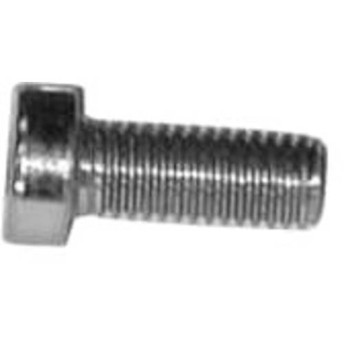 Striebel & John ZX260P10 2CPX062517R9999 Zylinderschrauben 5 mm 10 mm Außensechskant Stahl verzinkt 10 St.