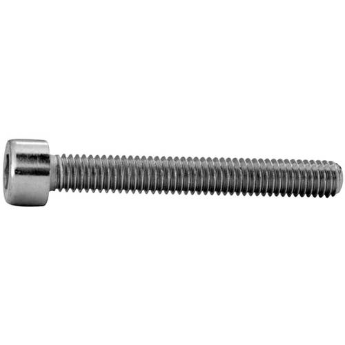 Striebel & John ZX259P20 8WH20250AF01 Zylinderschrauben 6 mm 45 mm Außensechskant Stahl verzinkt 20 St.