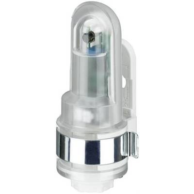 Durchsichtige Glühlampe mit metallischem Sockel und Bogen oben. Geeignet für spezielle Lichtanwendungen.