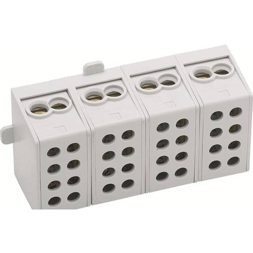 Striebel & John 2CPX064915R9999 Einspeiseklemme Anzahl Reihen 8 4polig 63 A 1 St.