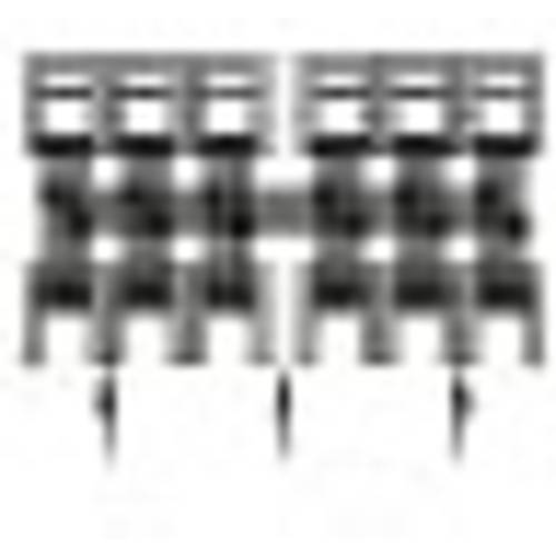 Striebel & John 2CPX060451R9999 Sammelschienen-System Kupfer 3polig 320 A 1 St.