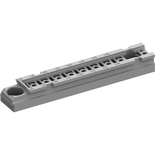 Striebel & John 2CPX010816R9999 Montageleiste Kunststoff 1 St.