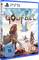 PS5-Spielverpackung von 'Godfall'. Zwei gepanzerte Krieger in einer Fantasy-Welt. USK 16. Nur online. Logos von Counterplay Games und Gearbox.