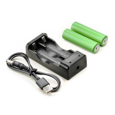 Batterieladegerät mit USB-Kabel und zwei grünen AA-Batterien.