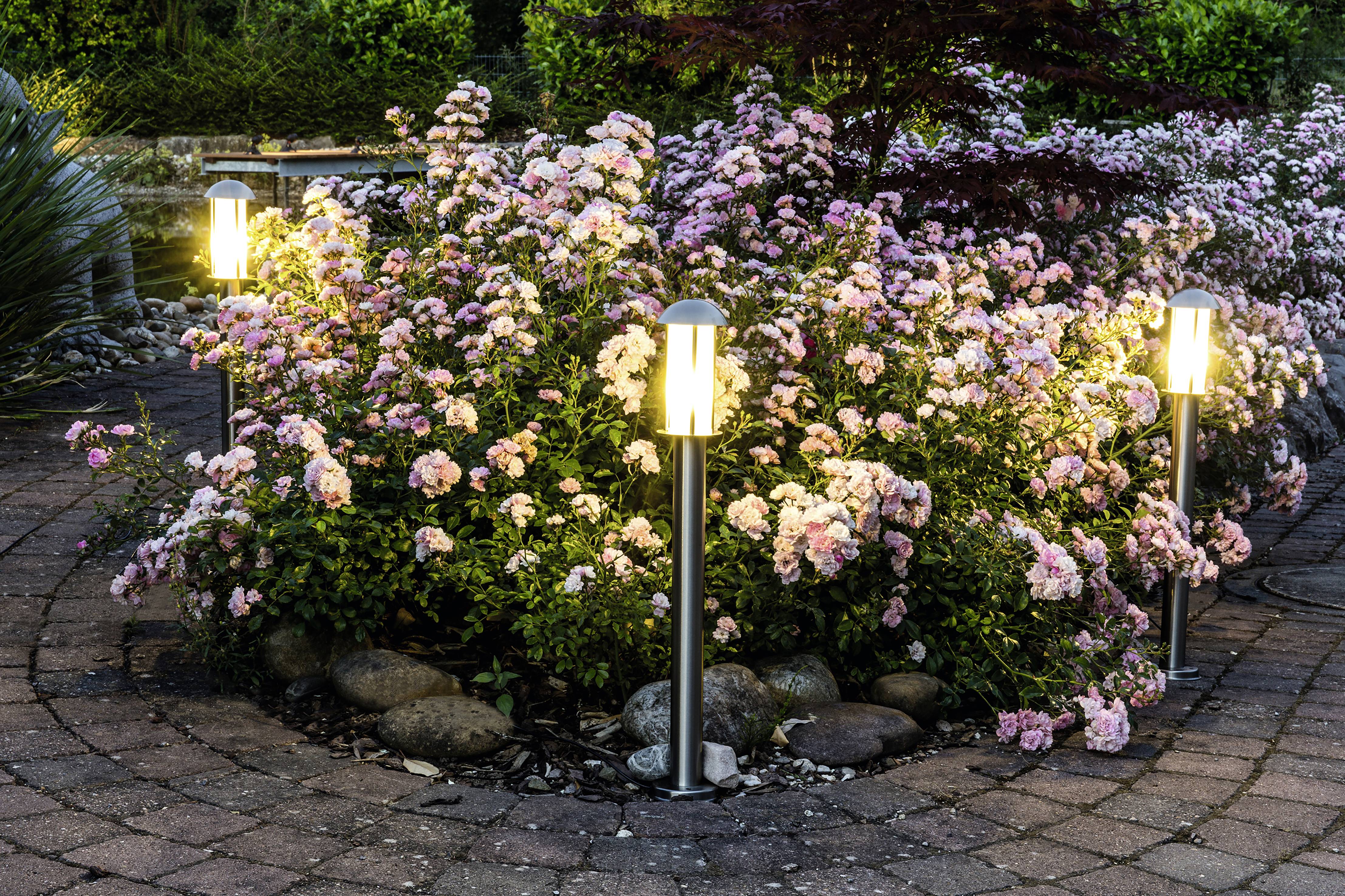 Beleuchteter Gartenweg mit blühenden rosa Rosen und vier modernen Gartenleuchten am Abend.