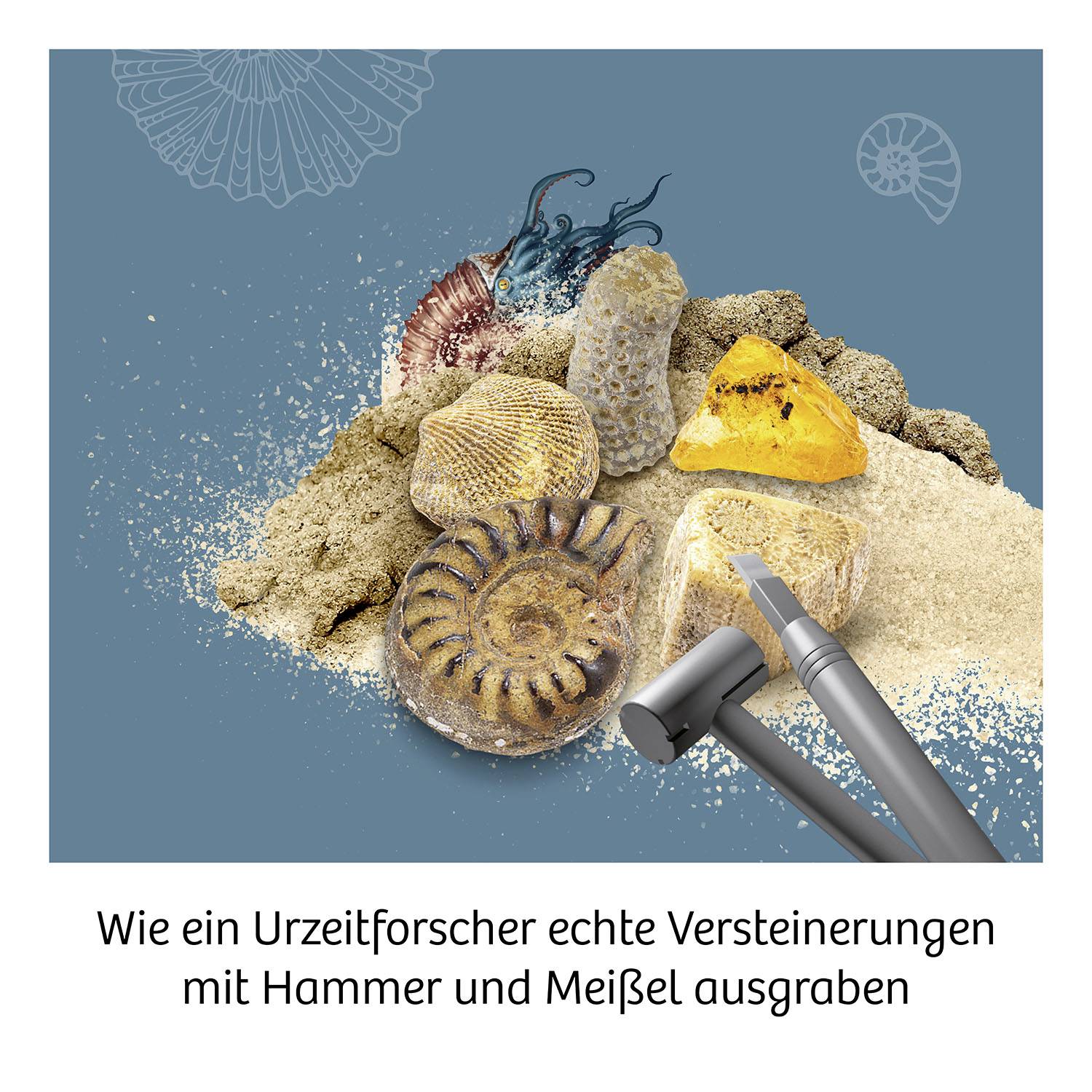 Ein Hammer und ein Meißel neben mehreren Fossilien, die im Sand liegen. Die Bildunterschrift lautet: 'Wie ein Urzeitforscher echte Versteinerungen mit Hammer und Meißel ausgraben'.