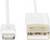Ein weißes Kabel mit Lightning- und USB-Stecker, geeignet zum Laden und für Datenübertragungen zwischen Apple-Geräten und Computern.
