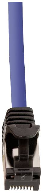 Ein blaues Netzwerkkabel mit einem schwarzen RJ-45-Stecker, der für Ethernet-Verbindungen genutzt wird.