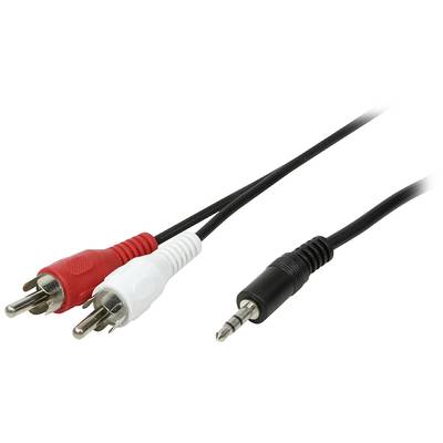 Schwarzes Audiokabel mit einem 3,5-mm-Stecker auf der einen Seite und zwei Cinch-Steckern (rot und weiß) auf der anderen.