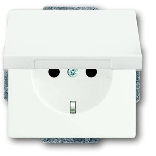 ABB 2CKA002018A1494 Geräteeinsatz IP20 Verkehrsweiß, Weiß