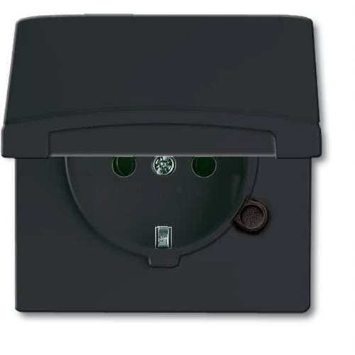 ABB 2CKA002064A0290 Geräteeinsatz IP44 Schwarz-Grau, Anthrazit