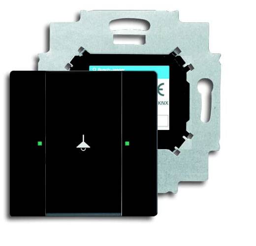 Busch-Jaeger 6125/01-885 2CKA006115A0191 Eingangsmodul Tiefschwarz (RAL 9005), Schwarz 1 St.