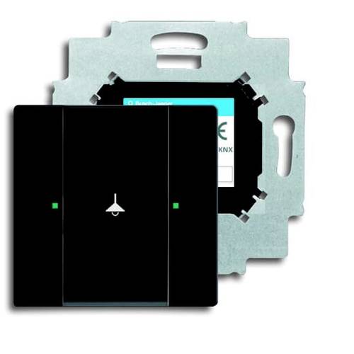 Busch-Jaeger 6125/01-885 2CKA006115A0191 Eingangsmodul Tiefschwarz (RAL 9005), Schwarz 1 St.