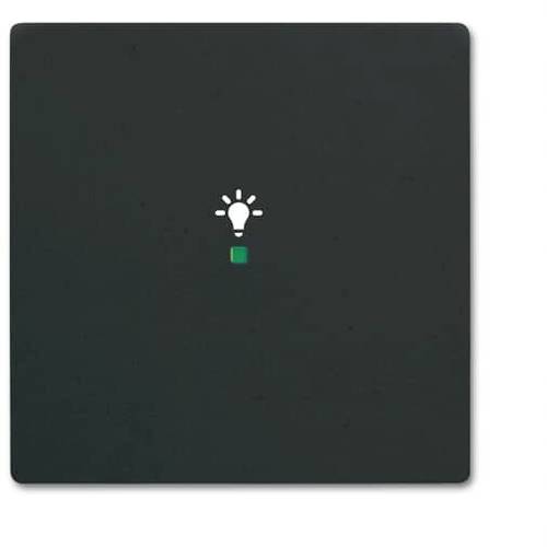Busch-Jaeger 1fach Abdeckung Symbolwippe Licht free@home Schwarz, Tiefschwarz (RAL 9005) 2CKA006220A0499 1 St.