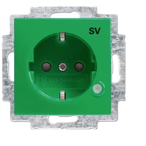 ABB 2CKA002013A5396 Geräteeinsatz IP20 Grün