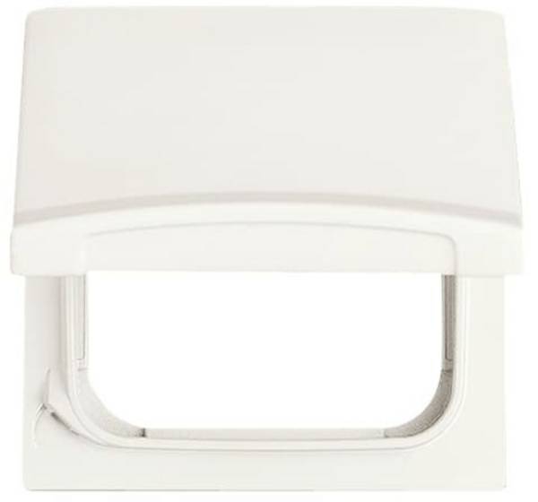 Busch-Jaeger Abdeckung Allwetter 44 (IP44) Perlweiß, Creme-Weiß 2CKA001710A2272 1 St.