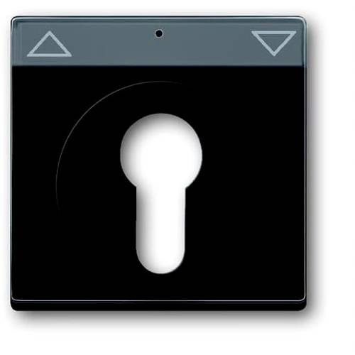 Busch-Jaeger Abdeckung Schlüsselschalter, Schlüsseltaster Future Linear Schwarz-Grau, Anthrazit 2CKA001710A3626 1 St.