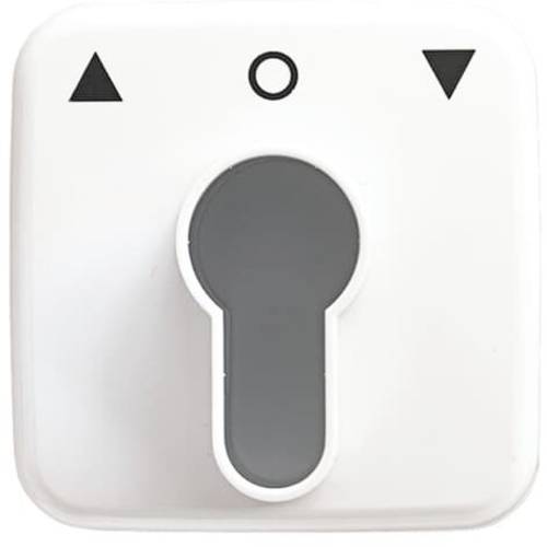 Busch-Jaeger Abdeckung Schlüsselschalter, Schlüsseltaster Reflex SI Reinweiß (RAL 9010), Weiß 2CKA001710A1415 1 St.