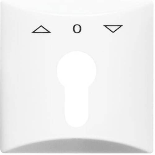 Busch-Jaeger Abdeckung Schlüsselschalter, Schlüsseltaster Allwetter 44 (IP44) Weiß, Reinweiß (RAL 9010) 2CKA001710A1829 ...