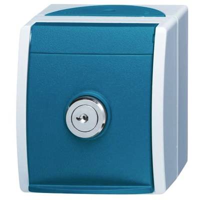 Blauer Wandkasten mit silbernem Schlüsselloch in der Mitte, wohl als Schlüsselschrank oder Aufbewahrungsbox konzipiert.