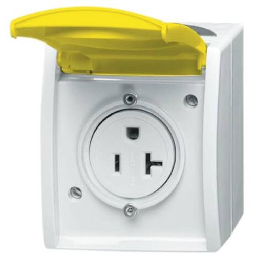 Busch-Jaeger Einsatz Nema-Steckdose Zinkgelb, Gelb 2CKA002124A0024 1 St.