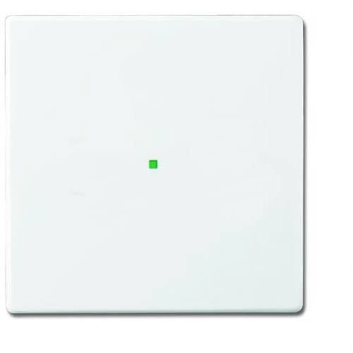 Busch-Jaeger 1fach Abdeckung free@home Verkehrsweiß, Weiß 2CKA006220A0034 1 St.