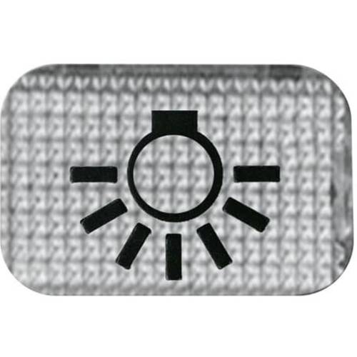 ABB 2CKA001714A0211 Abdeckungsplatte Transparent