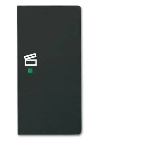 Busch-Jaeger 2fach Abdeckung Symbolwippe Szene free@home Tiefschwarz (RAL 9005), Schwarz 2CKA006220A0510 1 St.