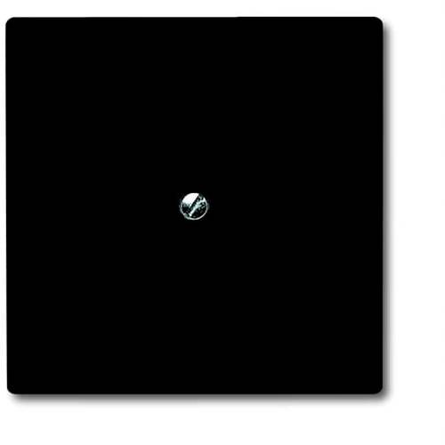 ABB Abdeckung Blindabdeckung Anthrazit, Schwarz-Grau 2CKA001710A1928 1 St.