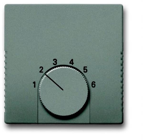 BUSCH Zentralscheibe 2CKA001710A3847
