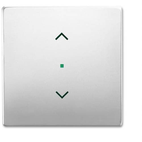 Busch-Jaeger 1fach Abdeckung free@home Edelstahl 2CKA006220A0415 1 St.