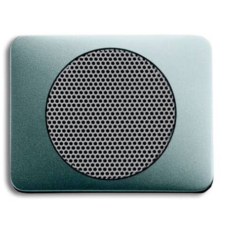 Busch-Jaeger Abdeckung Titan 2CKA008200A0103 1 St.