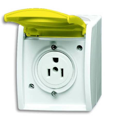 Busch-Jaeger Einsatz Nema-Steckdose Zinkgelb, Gelb 2CKA002124A0025 1 St.